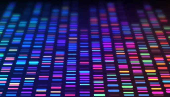 PCR
